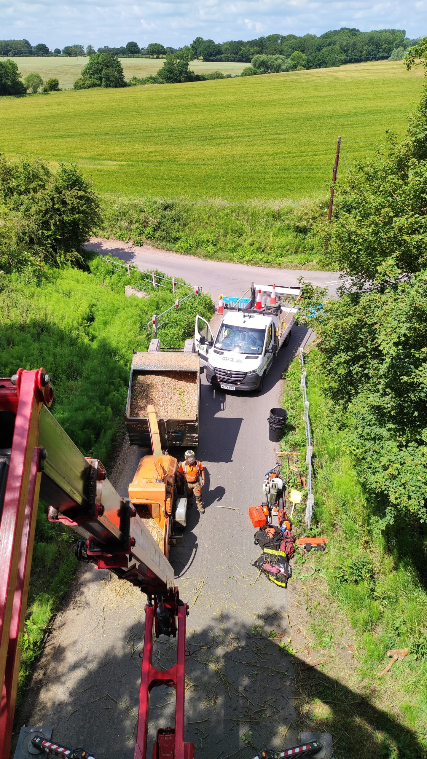 Tree Care img 20250618 wa0012